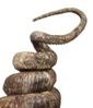 L’enroulement des coquilles de mollusques : une histoire tordue … par la physique