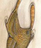 Les Stylophores, une énigme paléontologique de 150 ans enfin résolue