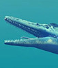 Deux articles sur les isotopes de calcium des dents fossiles des reptiles marins disparus