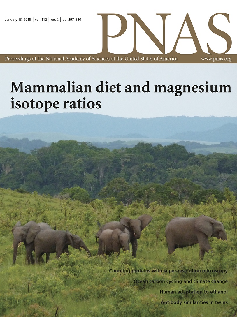 Les isotopes du magnésium tracent les régimes alimentaires des mammifères 