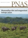 Les isotopes du magnésium tracent les régimes alimentaires des mammifères 